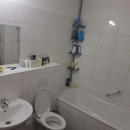 Firstone Проживание в семье *